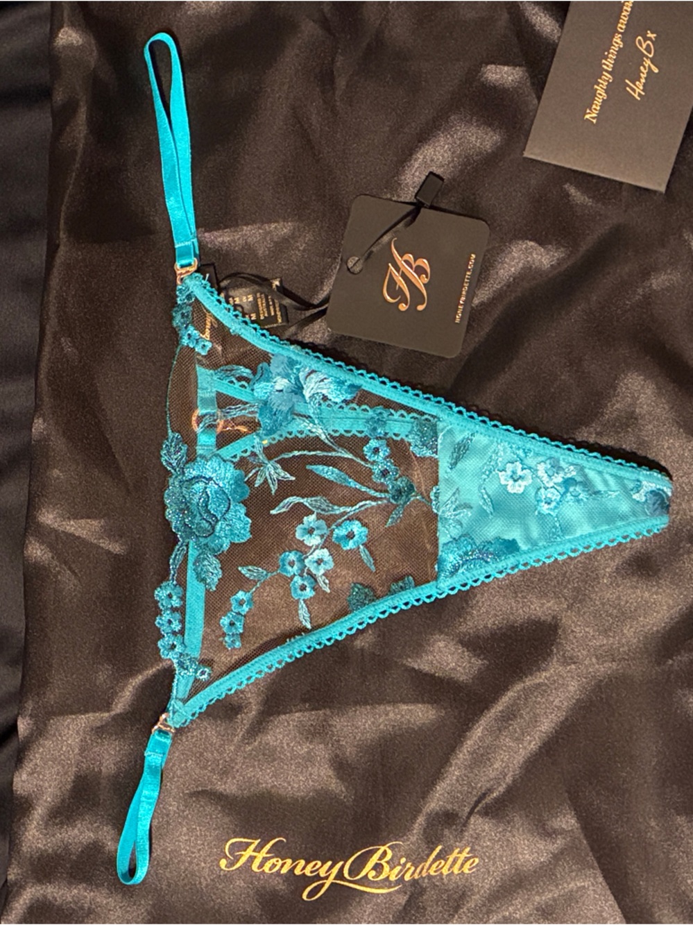 Honey Birdette Teal Floral Embroidered Thong NWT
